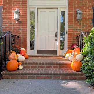 Pumpkin display