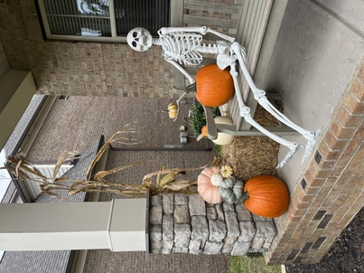 Pumpkin display